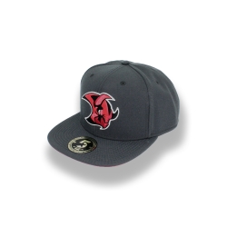 Saale Bulls - ADULT Flat-Cap - grey - Logo - 58,5cm